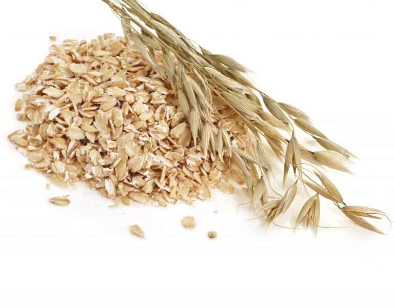 OATS IN POULTRY DIETS – Small and backyard poultry